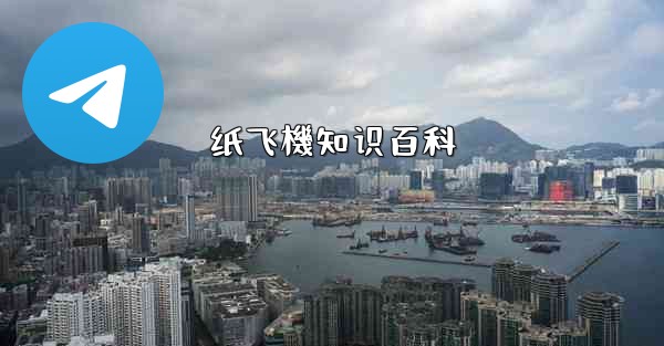 纸飞機知识百科