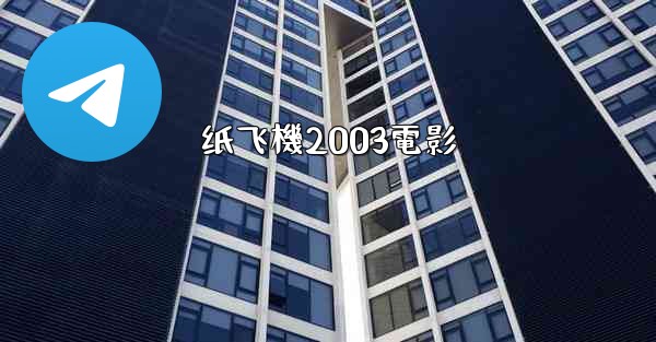 纸飞機2003電影