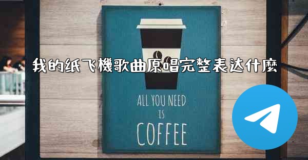 我的纸飞機歌曲原唱完整表达什麼