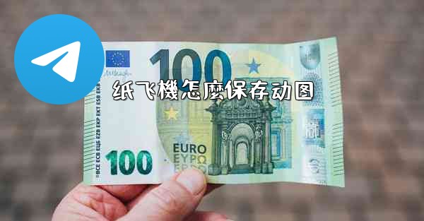 纸飞機怎麼保存动图