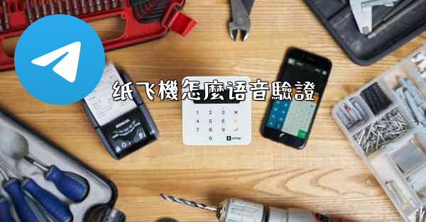 纸飞機怎麼语音驗證