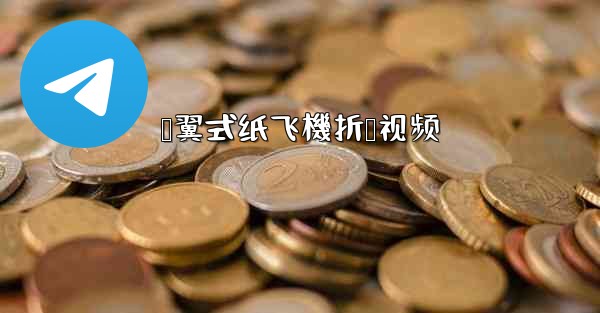 鸭翼式纸飞機折叠视频