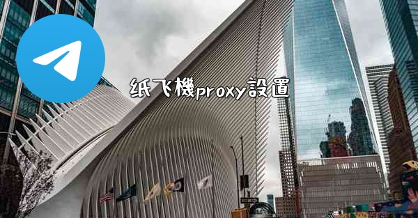 纸飞機proxy設置