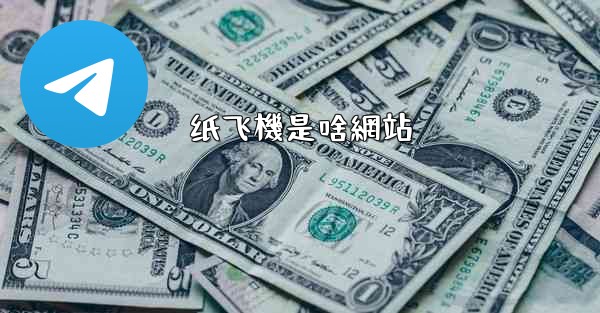 纸飞機是啥網站