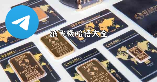 纸飞機暗语大全