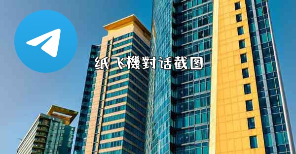 纸飞機對话截图