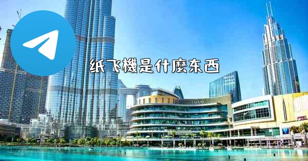 纸飞機是什麼东西