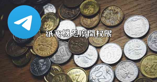 纸飞機怎麼開权限