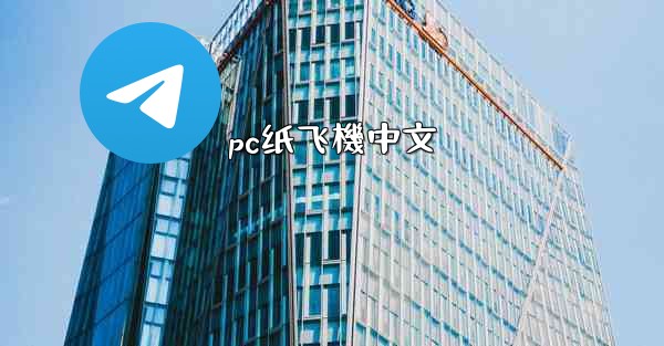 pc纸飞機中文