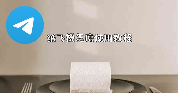 纸飞機怎麼使用教程