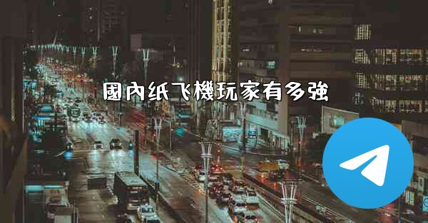 國內纸飞機玩家有多強