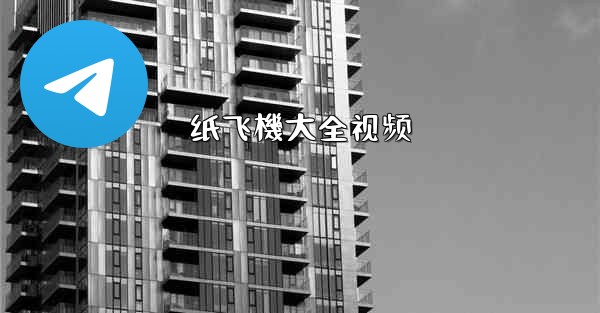 纸飞機大全视频