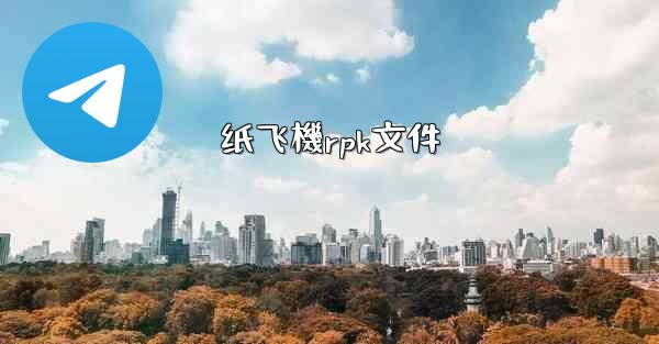纸飞機rpk文件