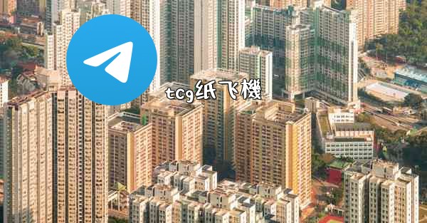 tcg纸飞機