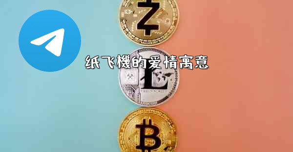 纸飞機的爱情寓意