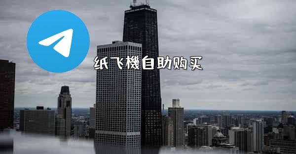 纸飞機自助购买