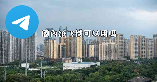 國內纸飞機可以用嗎