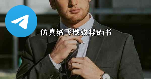 仿真纸飞機教程的书