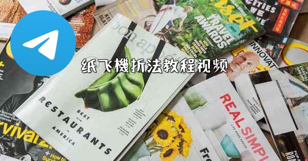 纸飞機折法教程视频