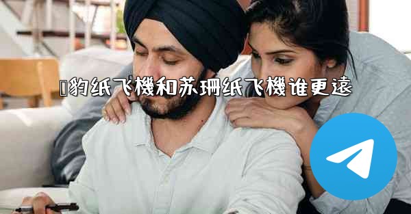 猎豹纸飞機和苏珊纸飞機谁更遠