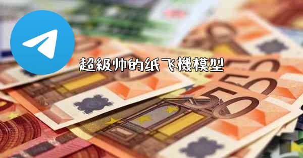 超級帅的纸飞機模型