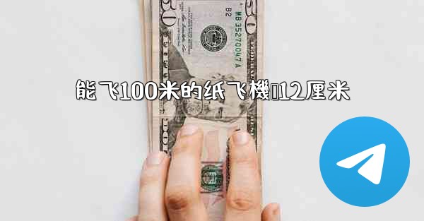能飞100米的纸飞機宽12厘米