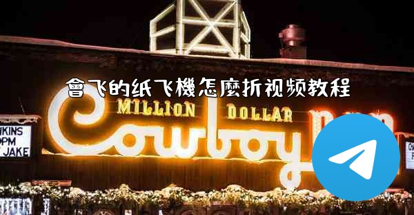 會飞的纸飞機怎麼折视频教程