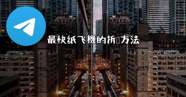 最快纸飞機的折叠方法