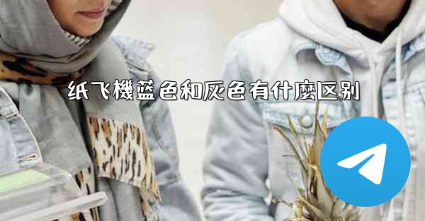 纸飞機蓝色和灰色有什麼区别