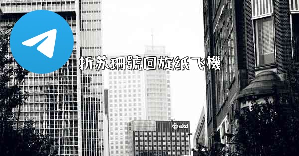 折苏珊號回旋纸飞機