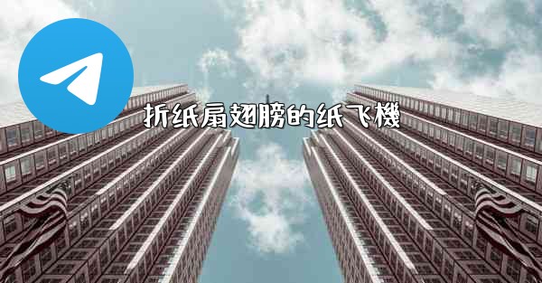 折纸扇翅膀的纸飞機