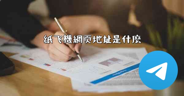 纸飞機網页地址是什麼