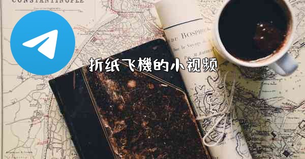 折纸飞機的小视频