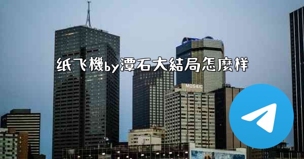 纸飞機by潭石大結局怎麼样