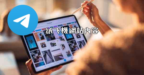 纸飞機網站內容
