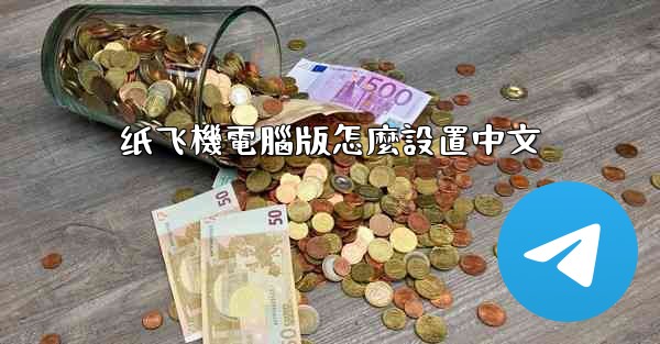 纸飞機電腦版怎麼設置中文