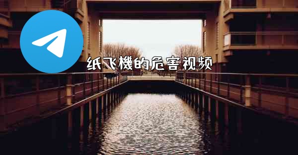纸飞機的危害视频