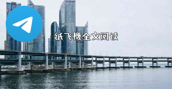 纸飞機全文阅读