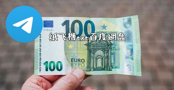 纸飞機txt百度網盘