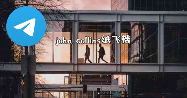 john collins纸飞機