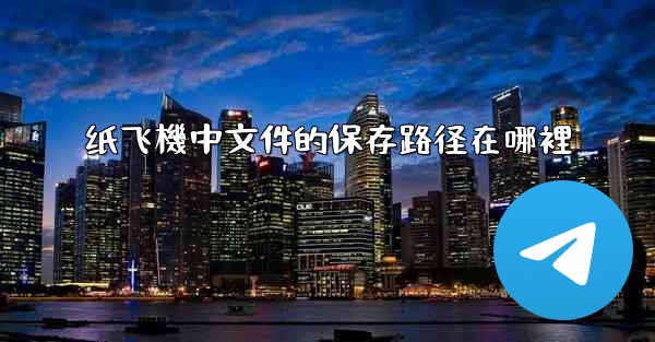 纸飞機中文件的保存路径在哪裡