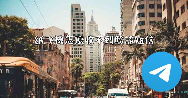 纸飞機怎麼收不到驗證短信