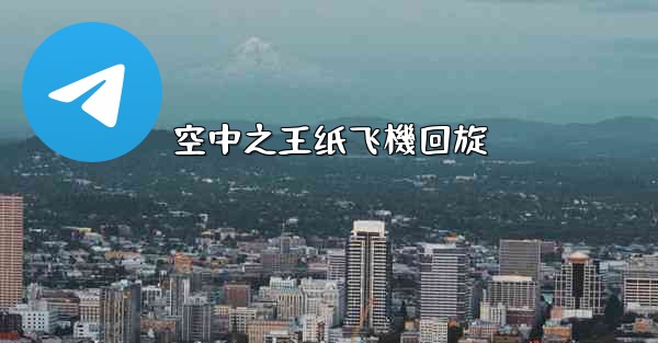 空中之王纸飞機回旋