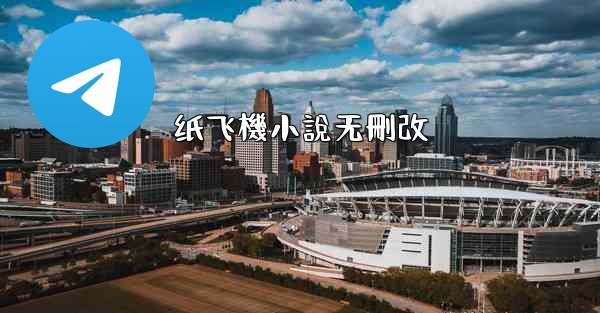 纸飞機小說无刪改