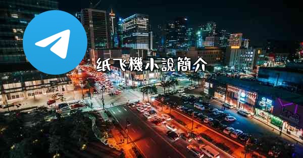 纸飞機小說簡介