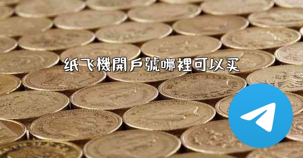 纸飞機開戶號哪裡可以买