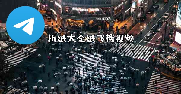 折纸大全纸飞機视频