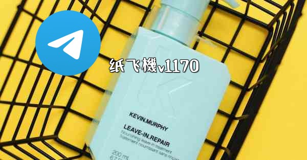 纸飞機v1170
