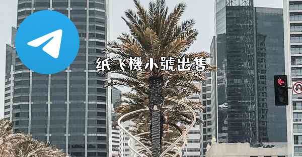 纸飞機小號出售