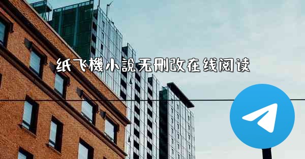 纸飞機小說无刪改在线阅读